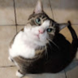 Meet your Posher, Thomas